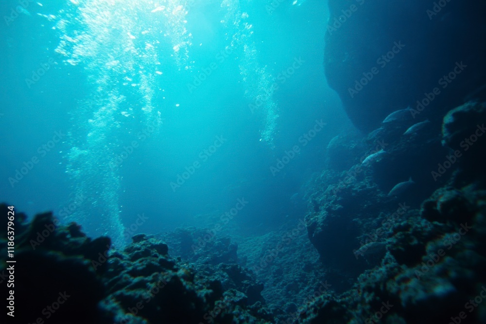 Obraz premium Divers investigate the clear blue waters of the ocean, discovering coral formations and various aquatic creatures in their natural habitat.
