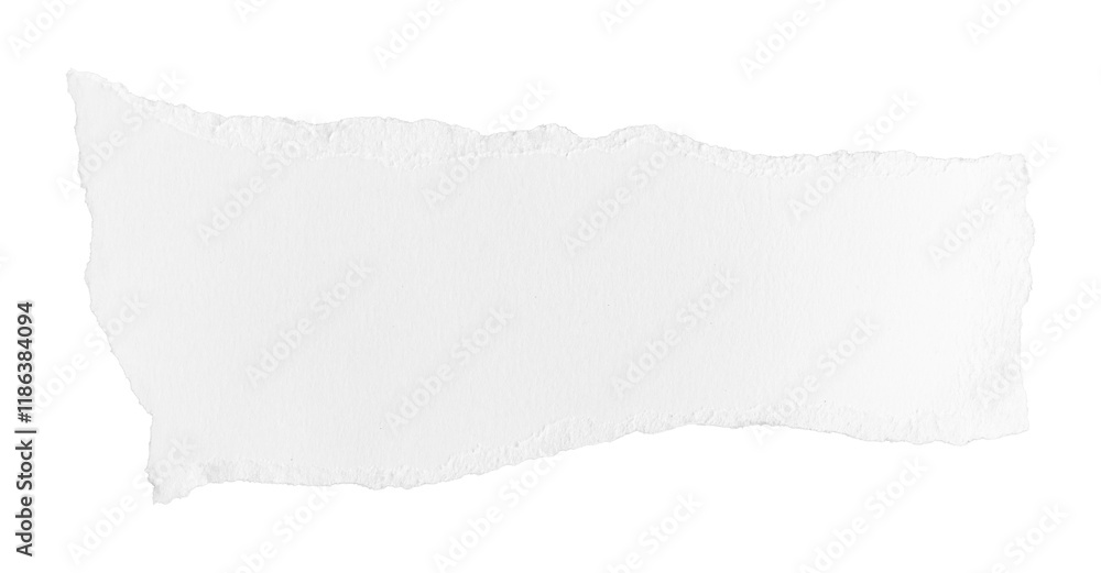 White ripped piece of paper isolated on transparent background PNG file White ripped piece of paper isolated on transparent background PNG file