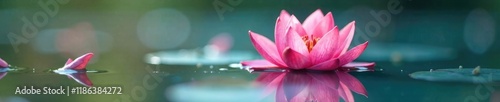 Delicate flower petal floats on shimmering liquid surface, reflection, floral