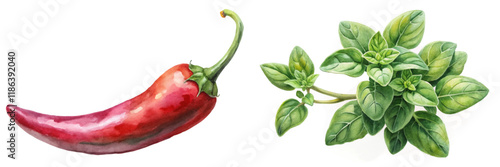 Vibrant red chili pepper, fresh green oregano leaves, watercolor style, culinary herbs, food illustration, organic ingredients.