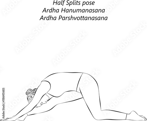 Sketch of young woman practicing Ardha Hanumanasana yoga pose. Half Splits pose or Half Divine Monkey pose. Isolated vector illustration.