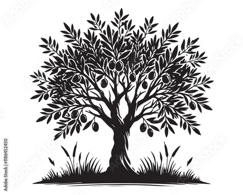 Olive Tree 10.eps