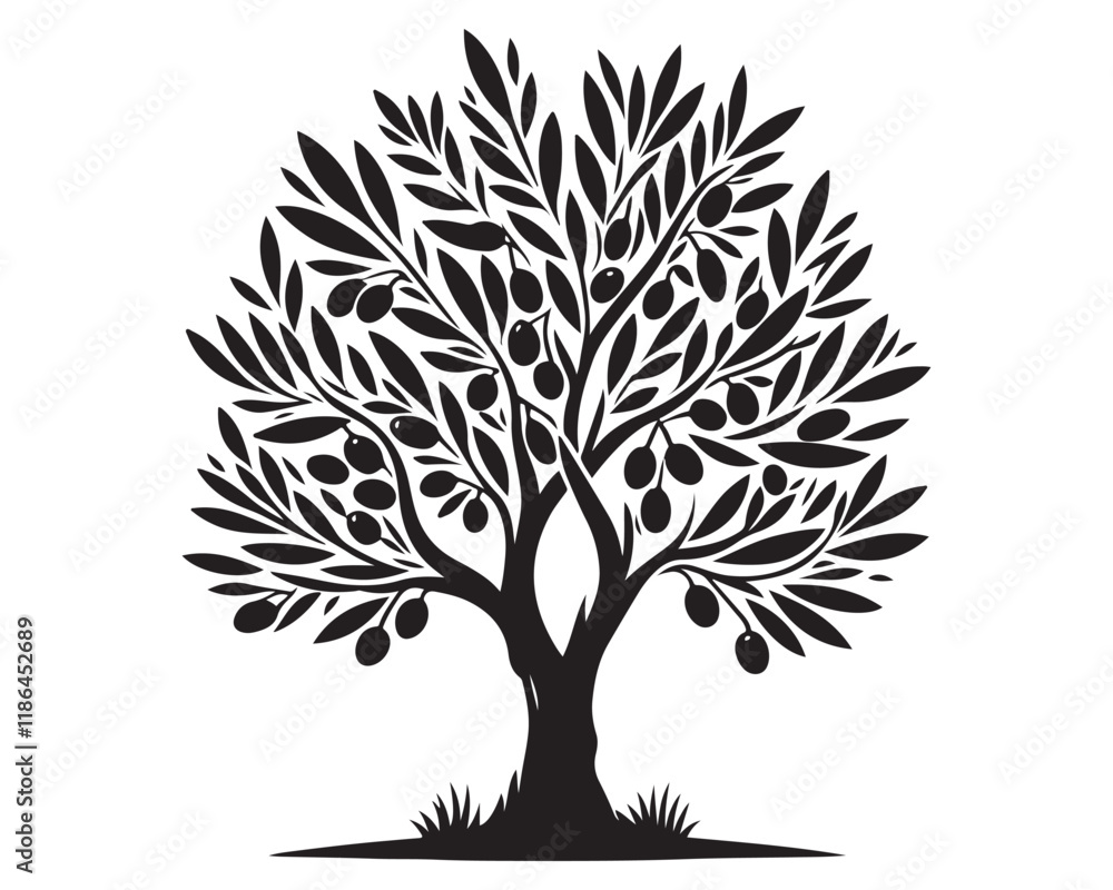 Fototapeta premium Olive Tree 16.eps