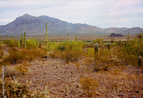 Sonora Desert Arizona Picacho Peak State Park on Film photo