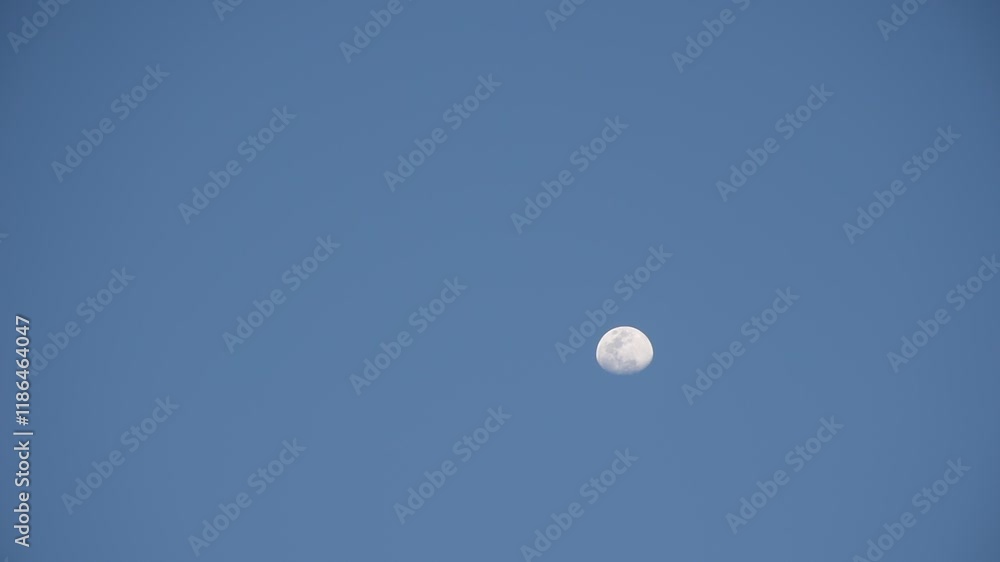 half moon floating on blue sky in twilight background half moon floating on blue sky in twilight background