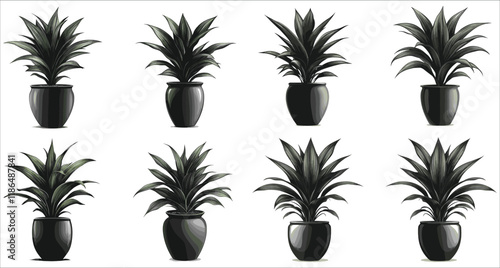 Decorative sansevieria plant in vase vector silhouettes, Black silhouette of sansevieria plant in vase, Abstract indoor plant silhouettes icons, Vector silhouette of sansevieria plant in pot