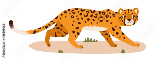 Leopard in its natural habitat. Savannah animal. Flat vector illustration.