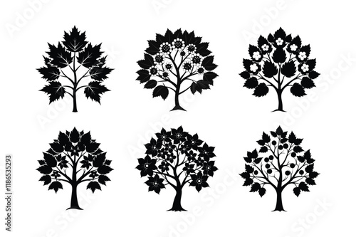 The Glastonbury Thorn (Crataegus monogyna ‘Biflora’) silhouette vector illustration