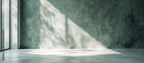 Elegant soft gray green textured interior background with gentle natural lighting for contemporary design applications