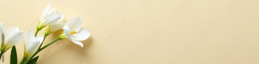 White mogra flower buds on beige background, showcasing their unique shape and color, white, garden, spring White mogra flower buds on beige background, showcasing their unique shape and color, white, garden, spring