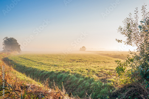 Long spider threads and a ditch at the edge of a meadow in a Dutch polder on a misty morning in the autumn season.