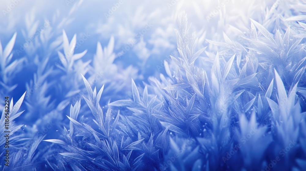 Frosted grass in a serene winter forest with soft light creating a tranquil and magical atmosphere Frosted grass in a serene winter forest with soft light creating a tranquil and magical atmosphere