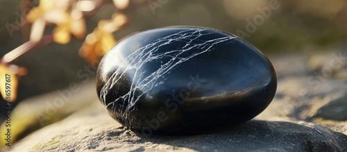 Shungite stone with unique natural patterns symbolizing EMF protection and energy balance in a serene outdoor setting photo