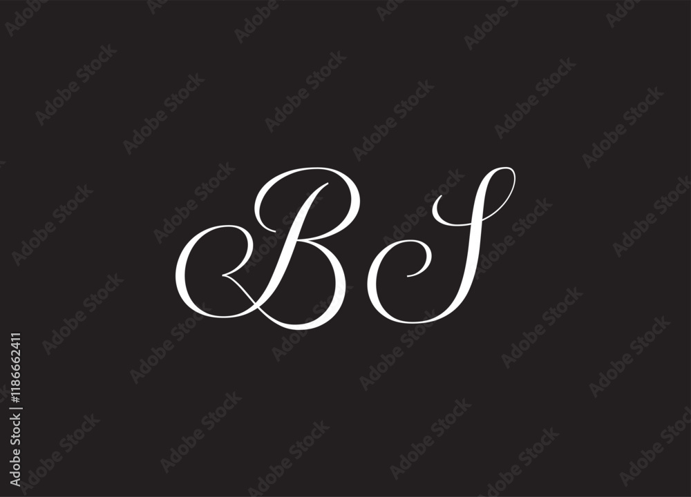 Obraz premium BS letter logo and initial logo design