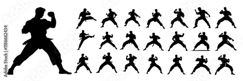 karate martial arts silhouettes in various poses with dynamic black design