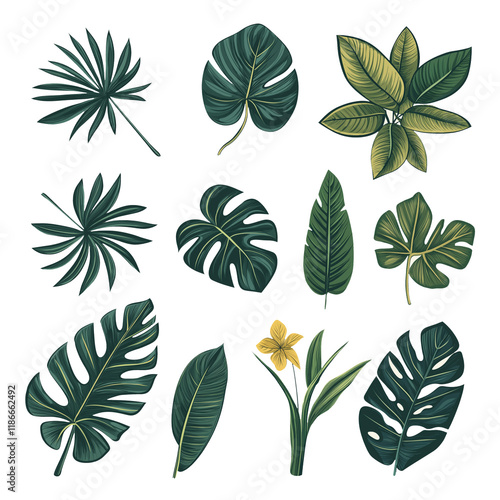 Botanical elements set of hand drawn tropical watercolor illustrations with palm leaves, green leaves, and branches. Summer vacation design elements