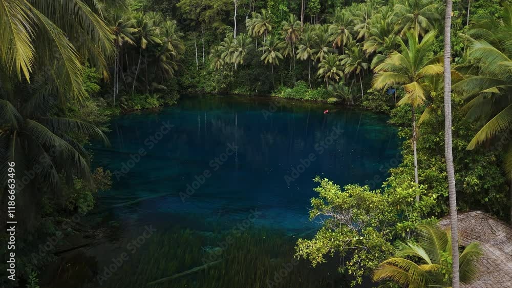 Transparent lake with crystal blue water in Indonesia. Drone view Transparent lake with crystal blue water in Indonesia. Drone view