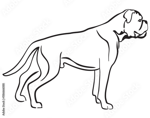 Boxer Dog Standing Side View Isolated Vector Line Art