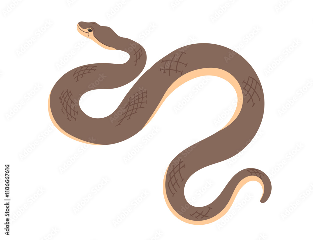 Obraz premium Brown snake with a winding body and detailed scales. Simple cartoon animal design. Good for reptiles or nature images. Vector illustration isolated on white background