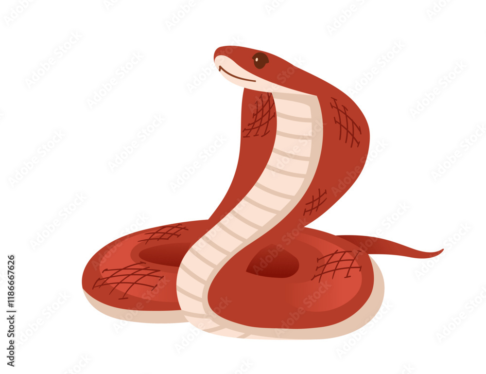 Fototapeta premium Red cobra coiled with its hood raised and tongue out. Simple cartoon animal design. Great for reptile or wildlife images. Vector illustration isolated on white background