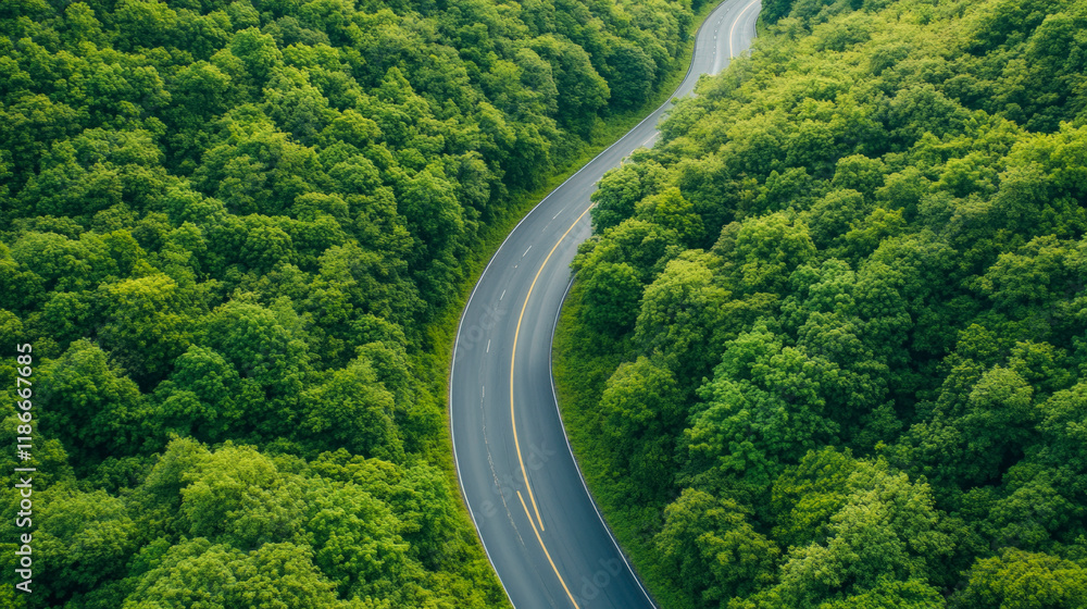 Scenic winding road through lush green forest, perfect for nature travel, adventure seekers, and exploring picturesque countryside landscapes. Scenic winding road through lush green forest, perfect for nature travel, adventure seekers, and exploring picturesque countryside landscapes.