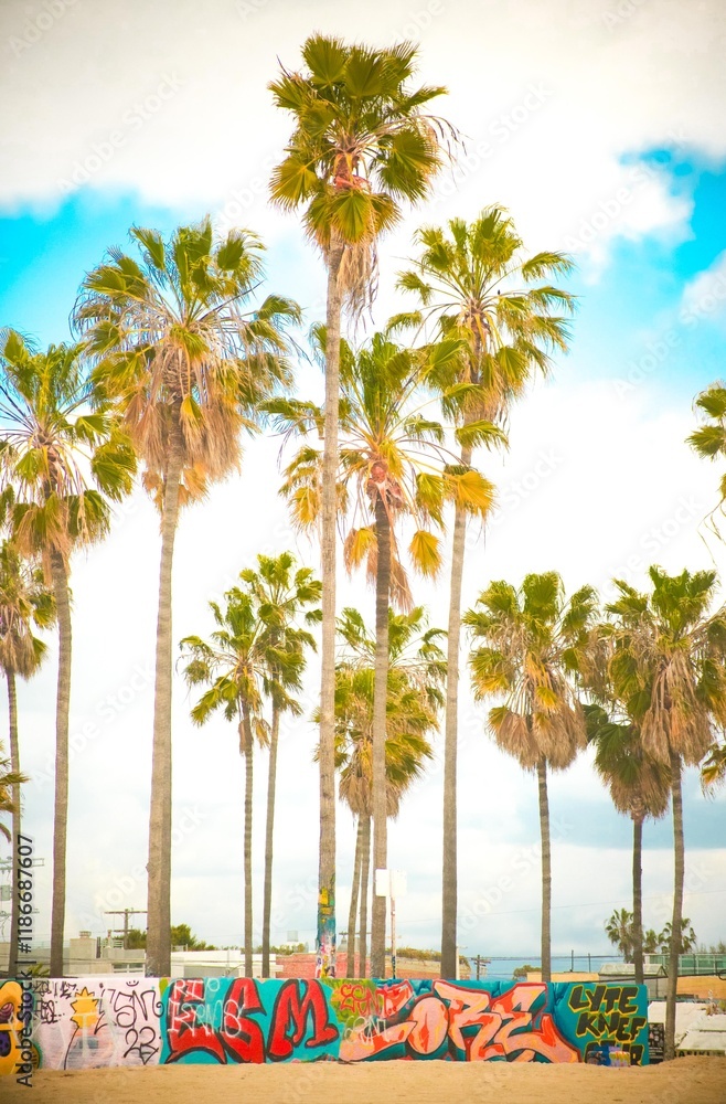 Fototapeta premium beach with palm trees