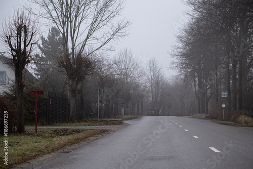 Street with dividing line in village. Misty morning in early winter. Latvia, Jelgava.