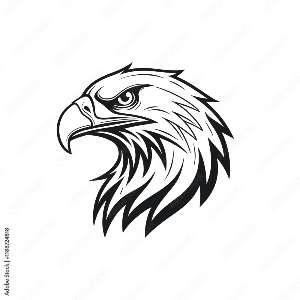 Obraz premium eagle head illustration