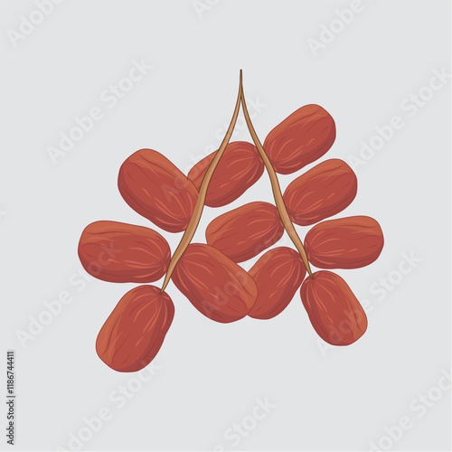 Illustration of Red Dates Cluster