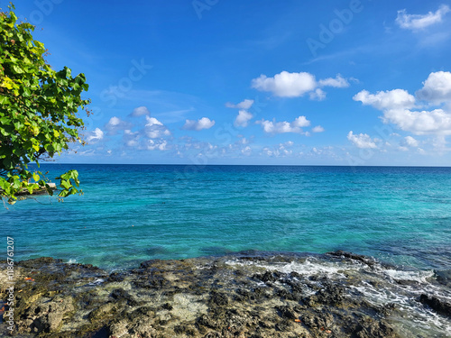Photos Tropical reef shore landscape in French Polynesia