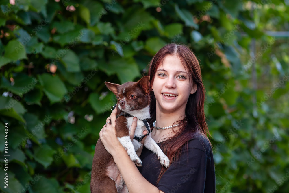 a girl with her dog on the background of a green park. A young smiling happy cheerful hostess hugging a dog, with her best friend chihuahua. Love for animals, the concept of pets a girl with her dog on the background of a green park. A young smiling happy cheerful hostess hugging a dog, with her best friend chihuahua. Love for animals, the concept of pets
