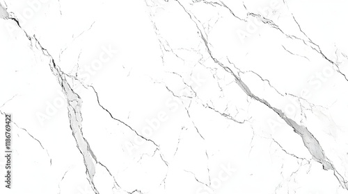 Timeless High-Quality Black and White Marble Background Texture