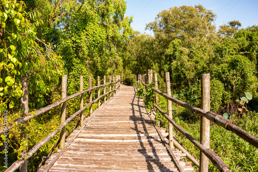 Wooden bridge in Vietnam among green tropical plants Wooden bridge in Vietnam among green tropical plants