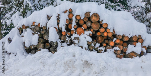 eingeschneites Holzlager photo