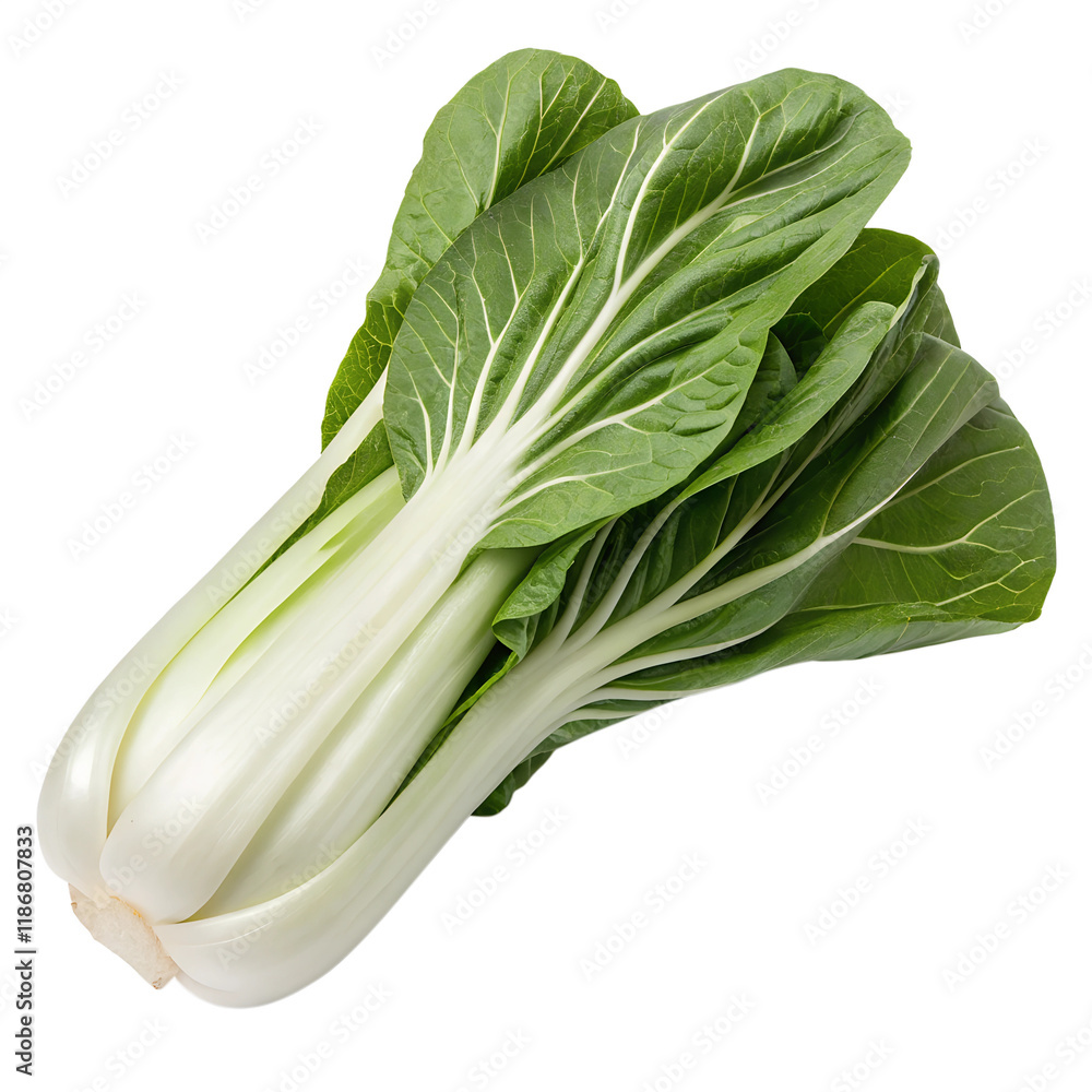 bok choy isolated on white background bok choy isolated on white background