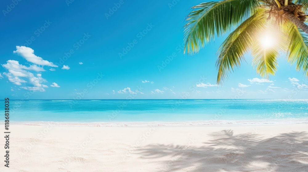 custom made wallpaper toronto digitalA beautiful beach with a palm tree in the foreground