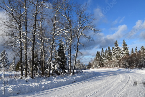 The Route du rang du nord in winter, Sainte-Apolline, Québec, Canada photo