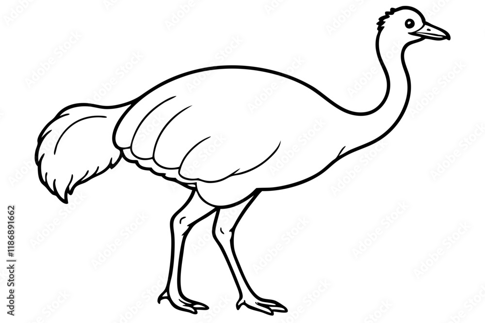 cassowary silhouette line art vector illustration with a white background cassowary silhouette line art vector illustration with a white background