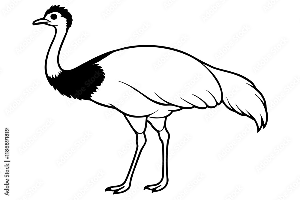 cassowary silhouette line art vector illustration with a white background cassowary silhouette line art vector illustration with a white background