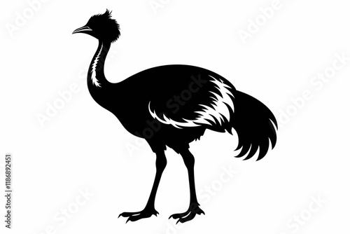 cassowary silhouette line art vector illustration with a white background