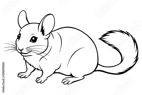 chinchilla silhouette line art vector illustration with a white background