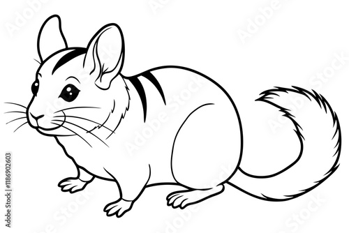 chinchilla silhouette line art vector illustration with a white background