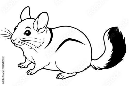 chinchilla silhouette line art vector illustration with a white background