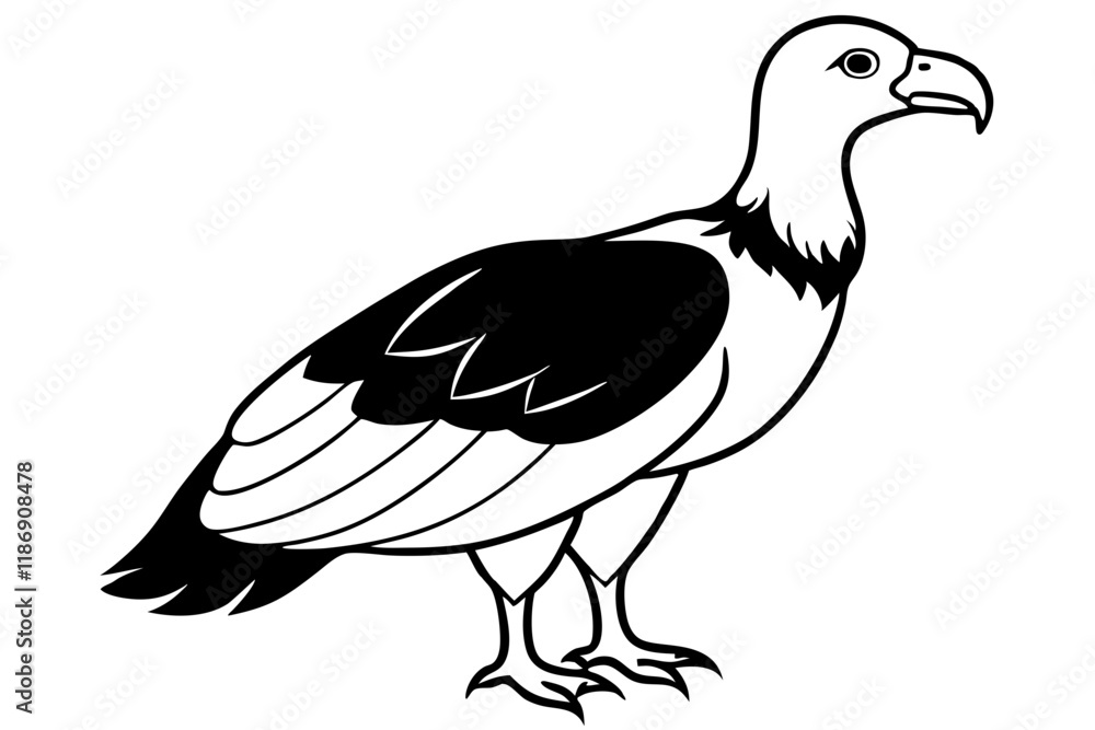 Fototapeta premium condor silhouette line art vector illustration with a white background
