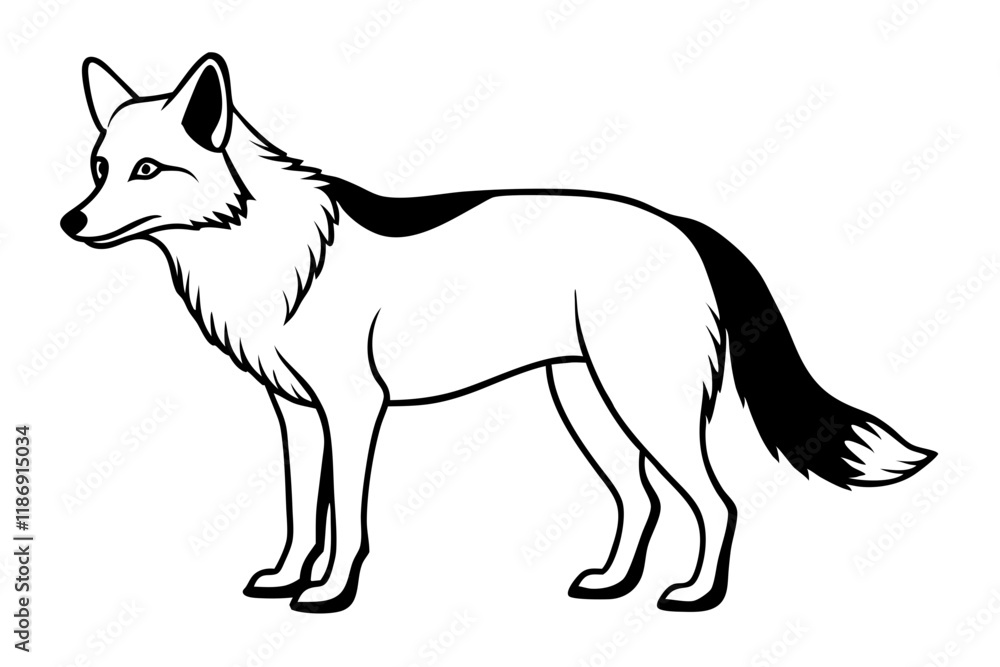 Fototapeta premium coyote silhouette line art vector illustration with a white background