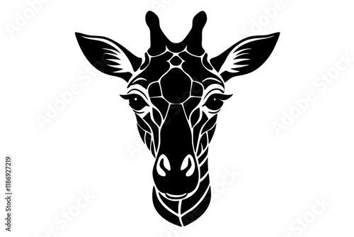 giraffe silhouette isolated on white photo