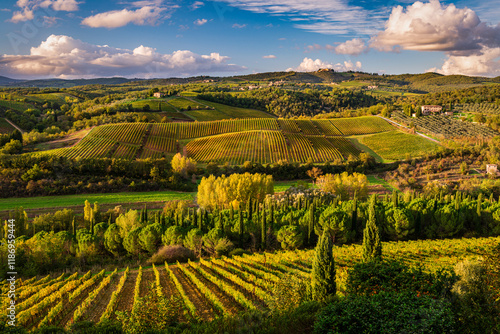 Tableau sur toile sinouses Chianti hills from Lucignano at the golden hours