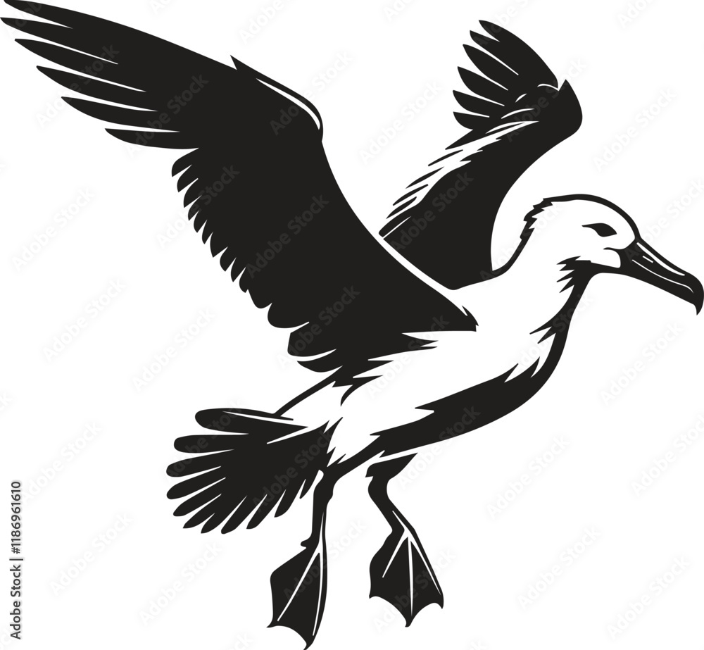 Obraz premium Flying Albatross bird vector silhouette image 