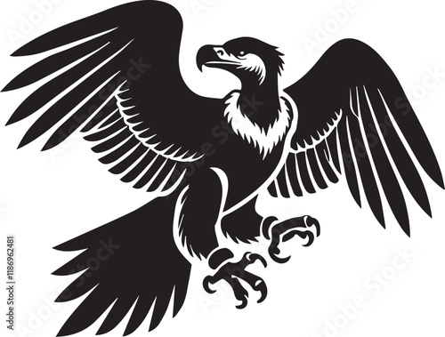 Condor bird vector silhouette image