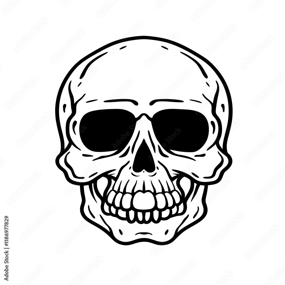 Fototapeta premium human skull illustration with white background